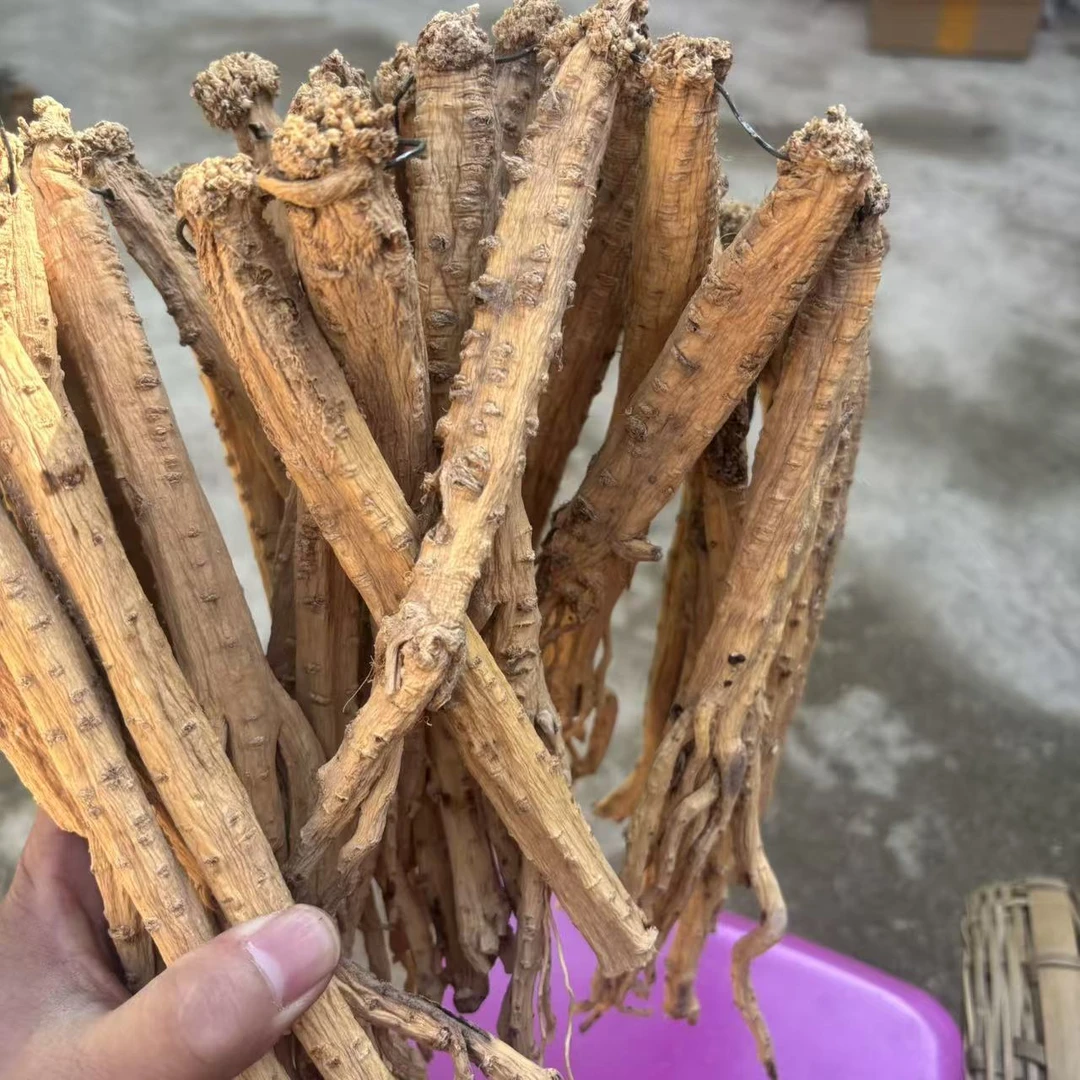 云南下山货 狮头党参
