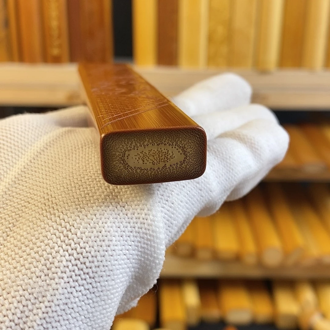 竹实心玉竹 一物一图