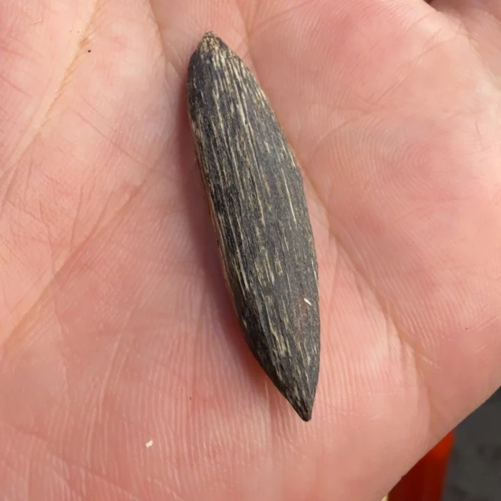 A***⁸沉香碎屑沉香沉香野生料港香瓜子料0.9克