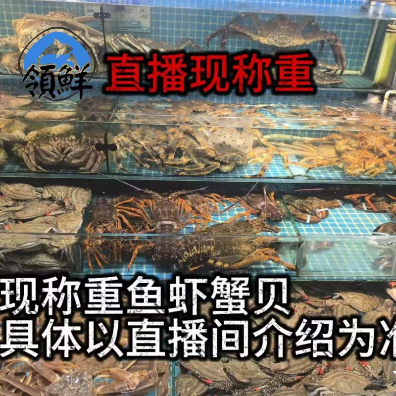 直播间现称重私人定制3