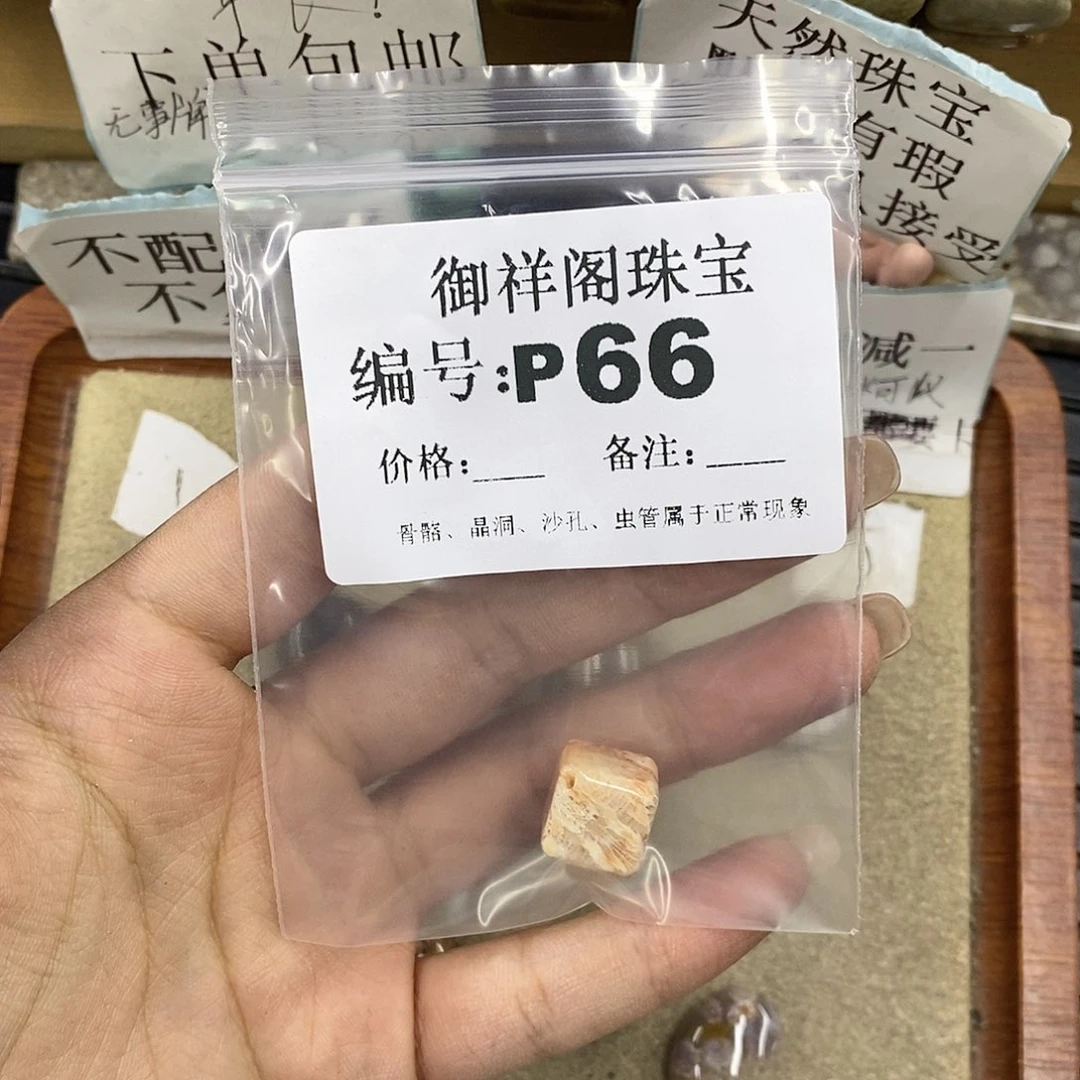硅化珊瑚（珊瑚玉）未镶嵌颈饰西****