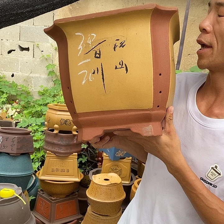 紫砂花盆这个世界上最好不过的