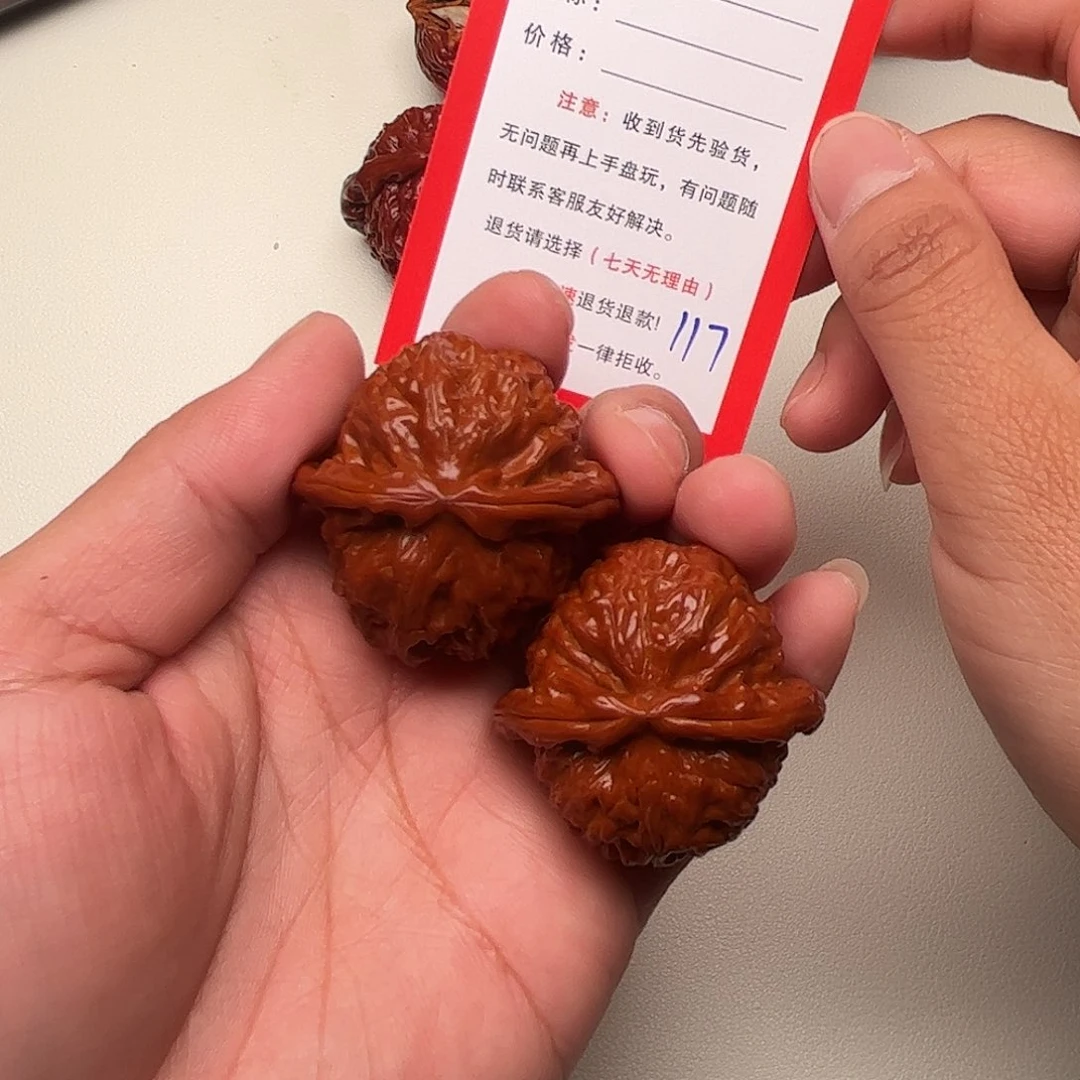 117。 38尺。 白狮子