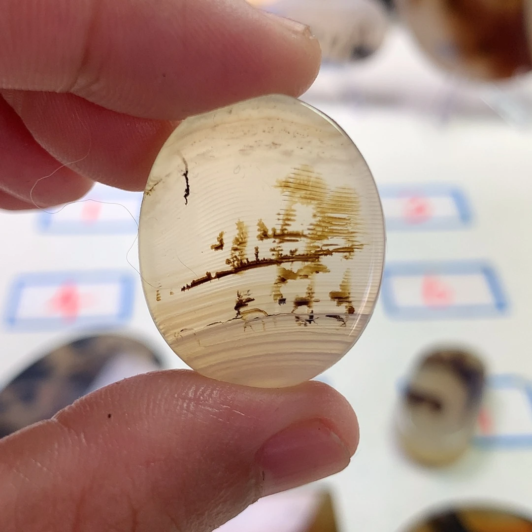 林***红未镶嵌玛瑙/玉髓珠宝半成品