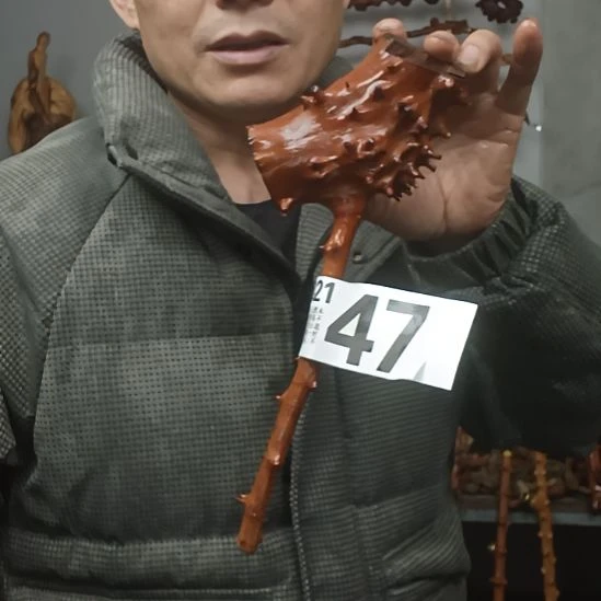 奇***然香榧木高山 檬子木文玩料