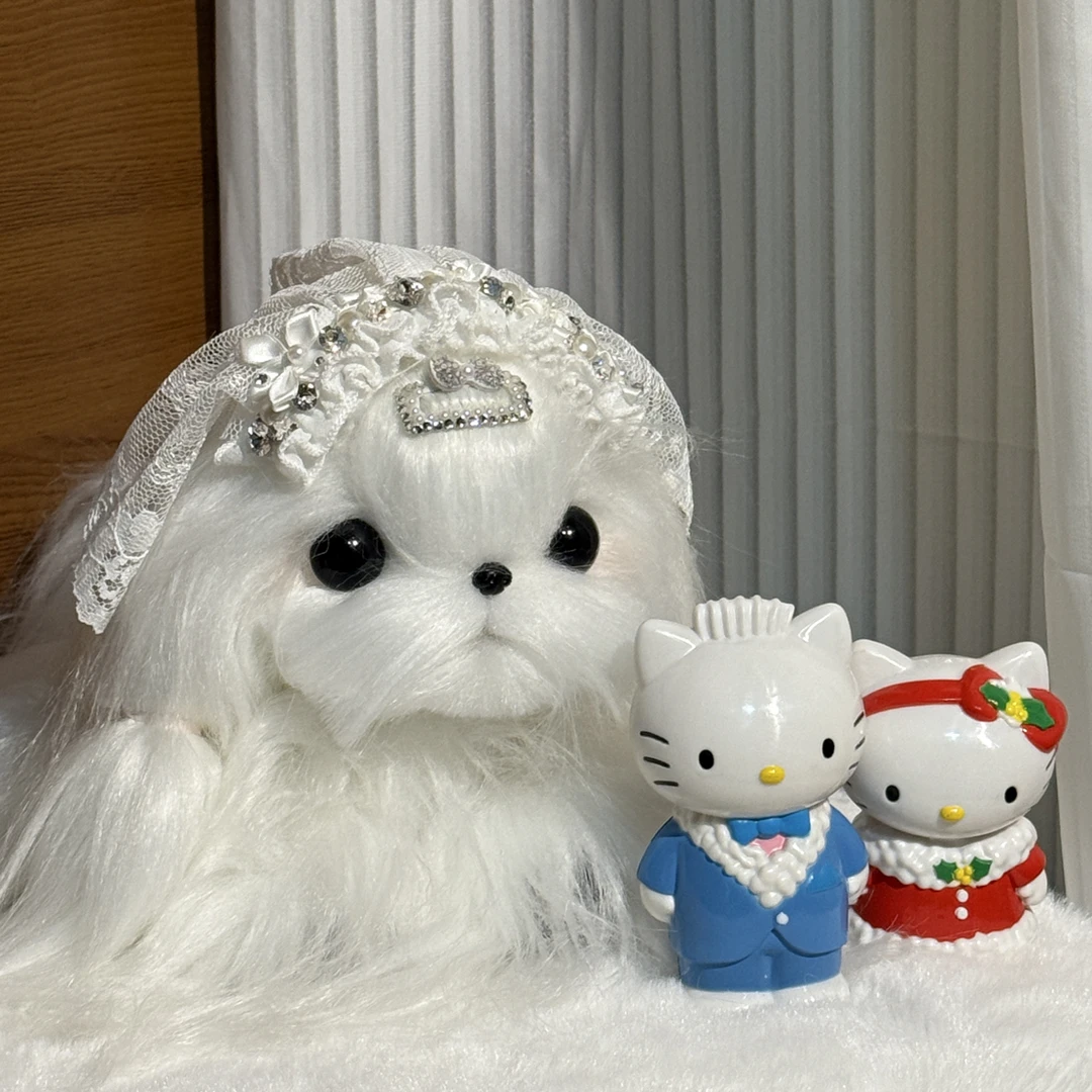 【PUPU PET】No退No换宠物发夹补款专拍链接约克夏bb夹顶夹