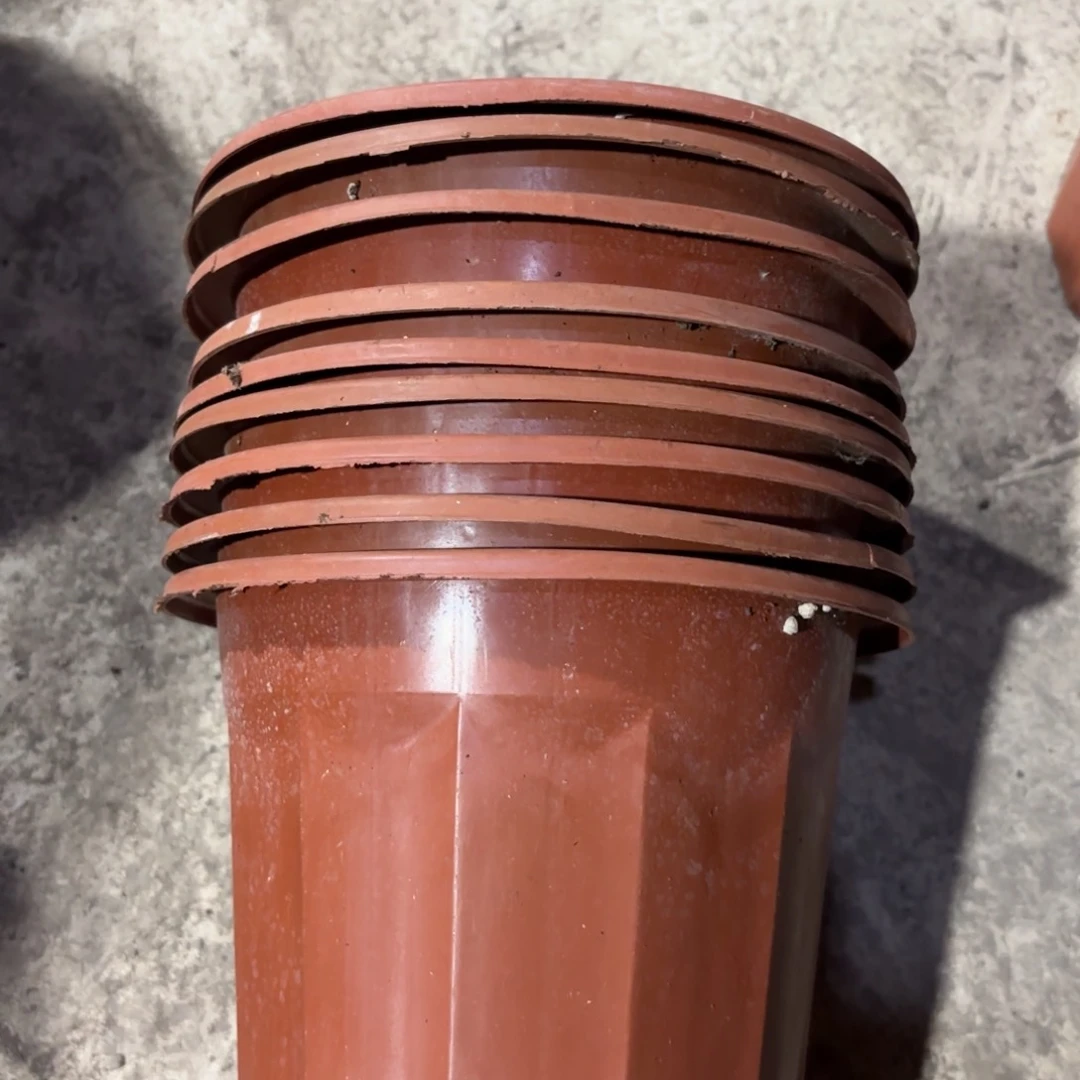 红砖盆180口径发25个