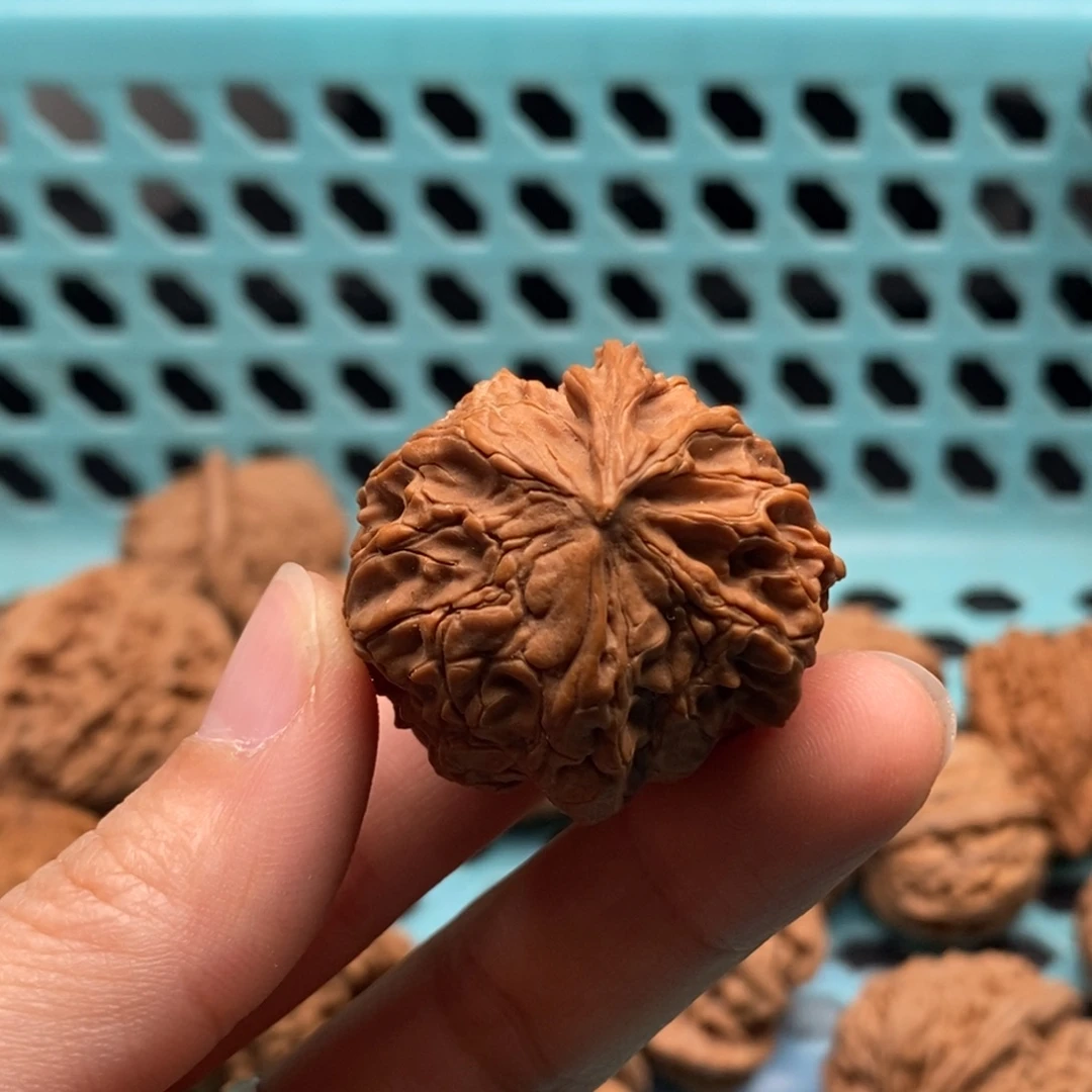 飞***觉核桃定制商品不退不换