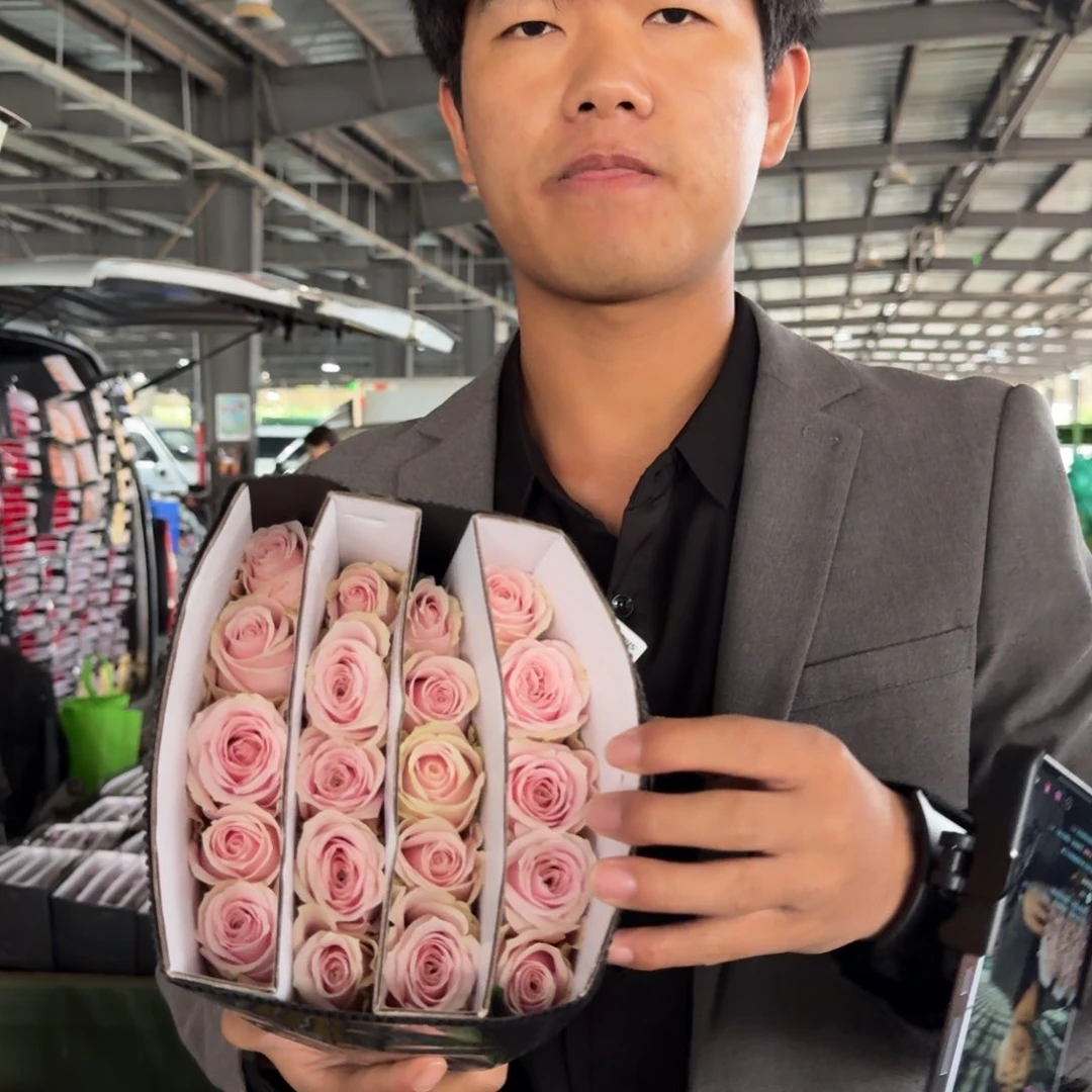 粉红雪山5扎包邮价秒杀