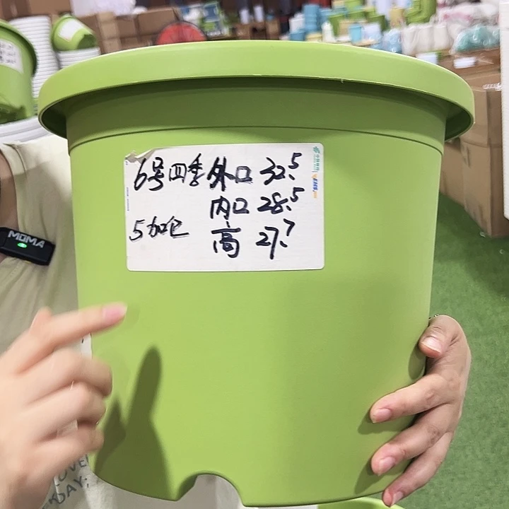 特价6号四季口32.5高28混色无托5只