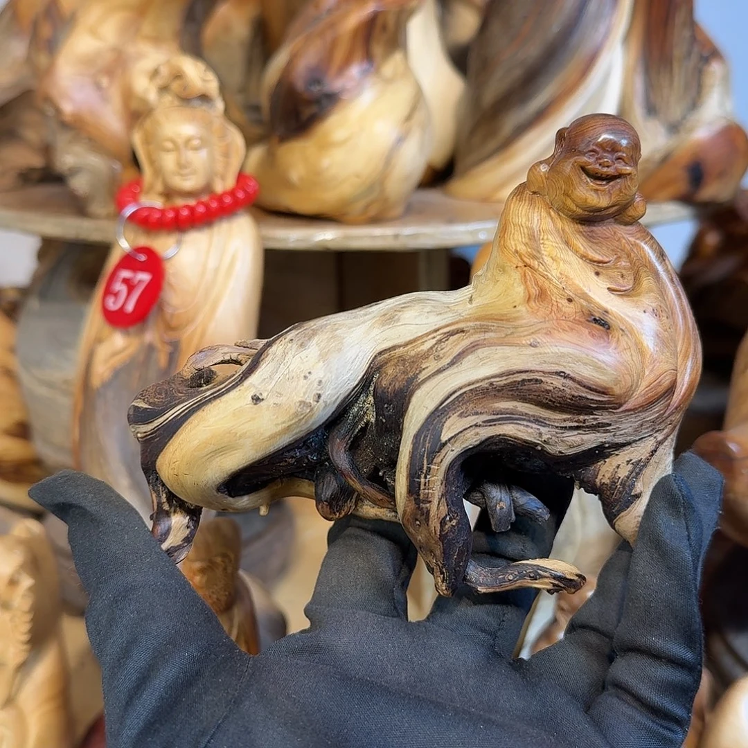 柏木（崖柏）666666666