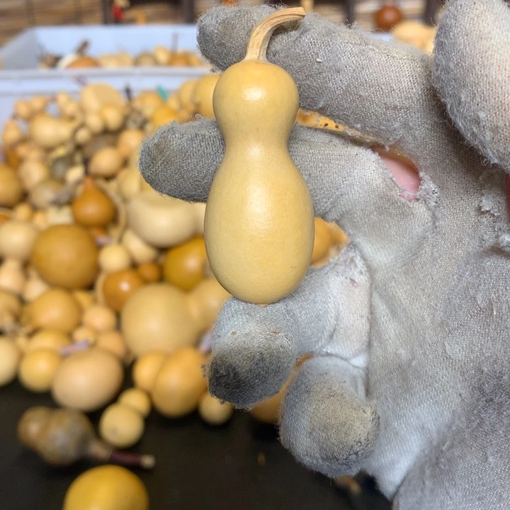 我就会去想那些我以为很