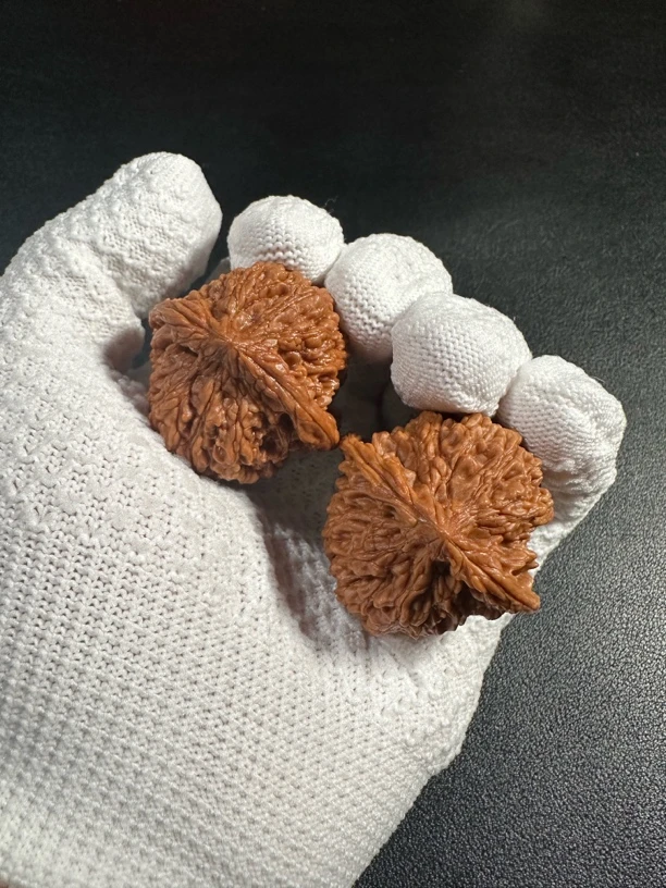 满天星狮子头文玩核桃手把件麻核桃40-41毫米边长