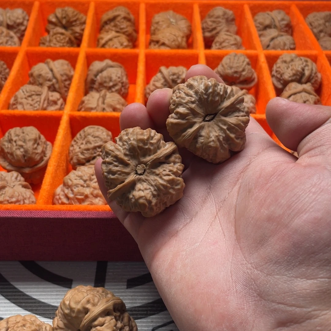 文玩核桃吊坠41尺三角箭毒蛙