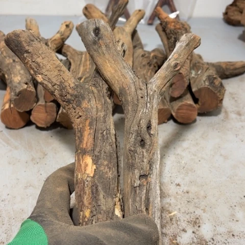 大果紫檀（缅甸花梨）紫****）