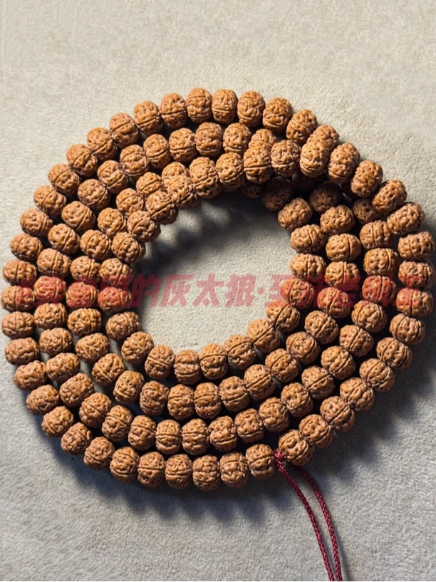 灰太狼甄选 千元品控标杆！发烧级 红油至纯纯血 老树王小金刚108