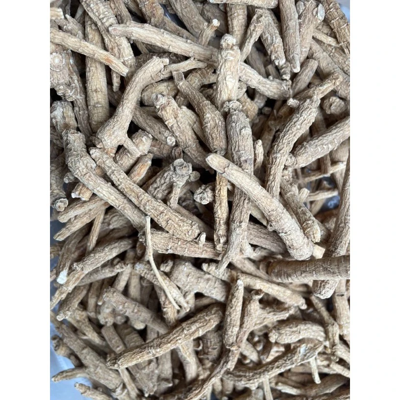 农家山货土特产（虎牙西阳参）