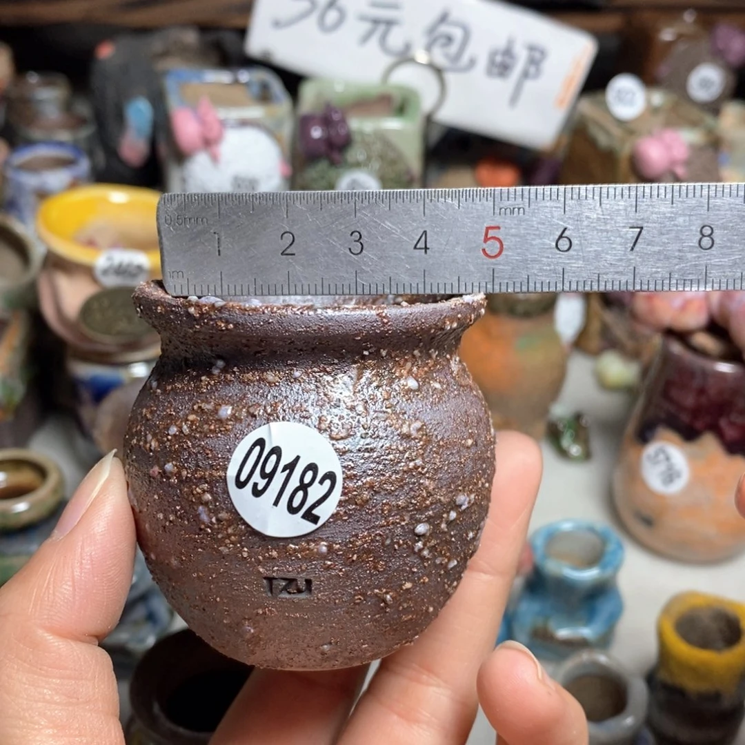 拍5送一个小礼物