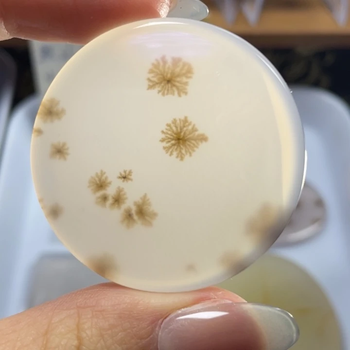 玛瑙/玉髓未镶嵌牌子