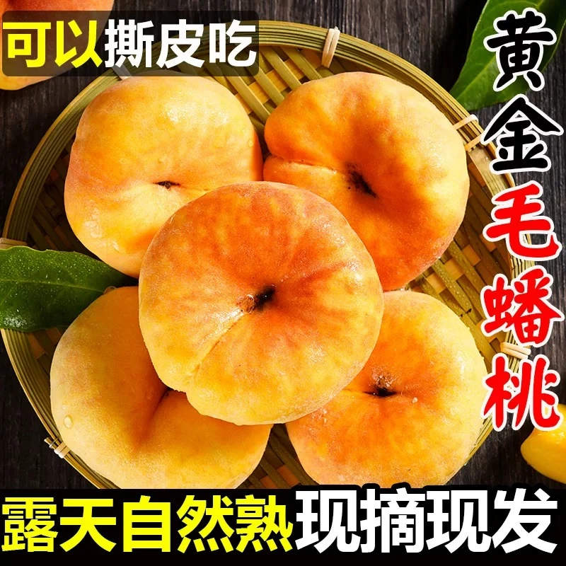 【于甄鲜选】蒙阴黄金蟠桃新鲜应季黄肉毛桃手撕扁桃香甜爆汁3-5斤