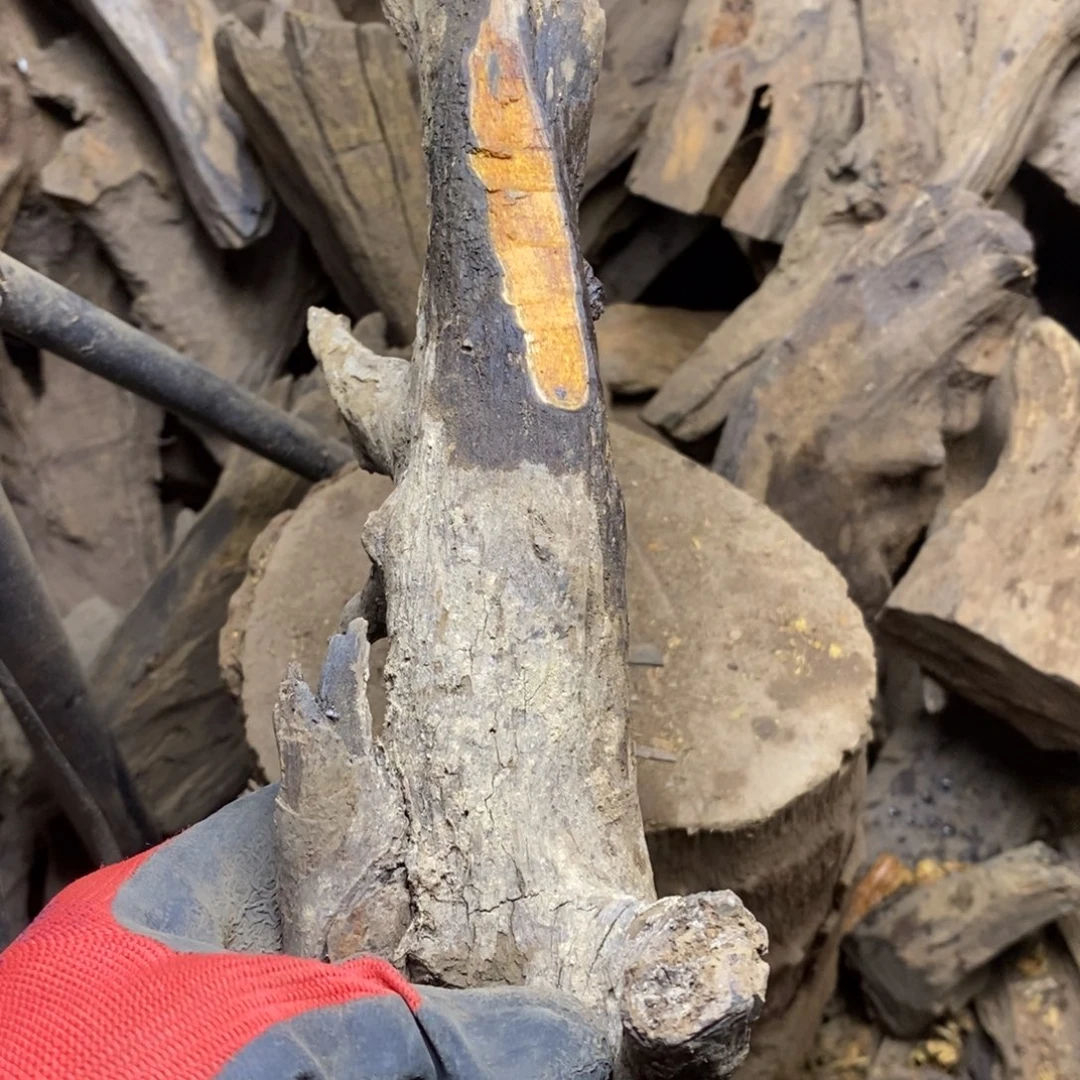 贡木海**雨贡木手串手链项链