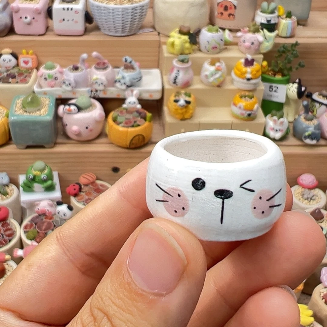 小***₎多肉植物99号种个鸽子蛋