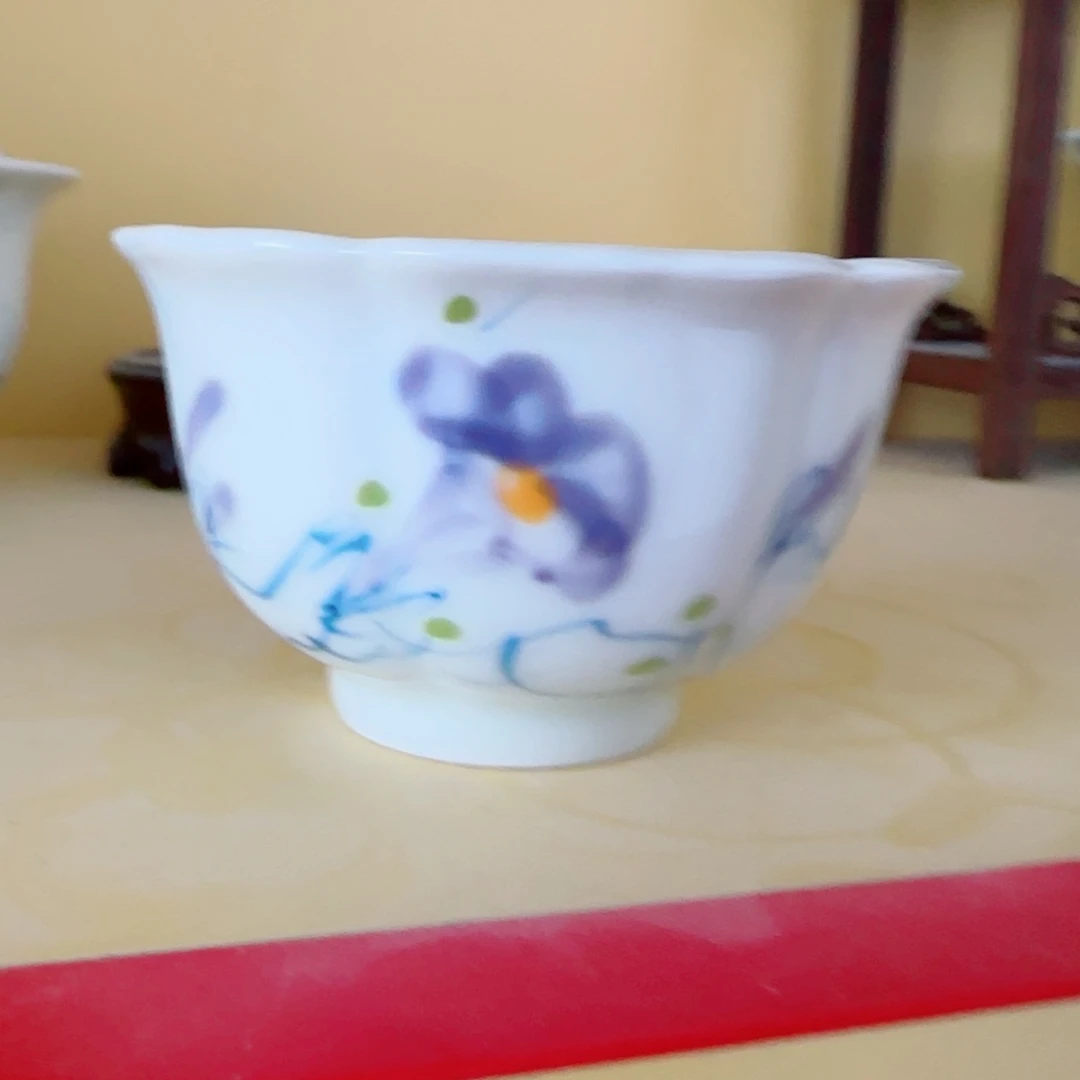 L***宁景德镇釉下青花五彩