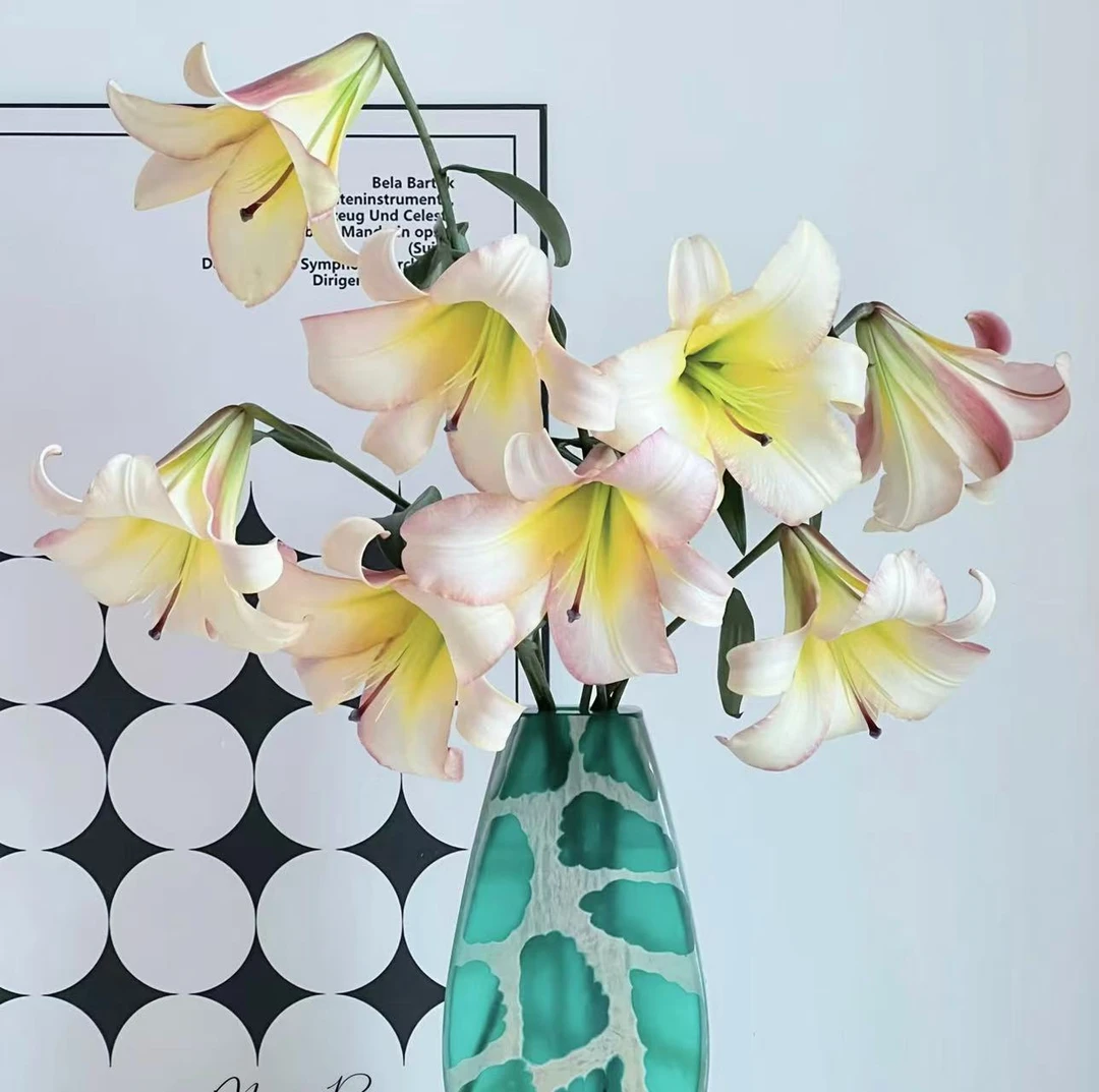 【北京月亮百合】云南基地直发香水鲜切花