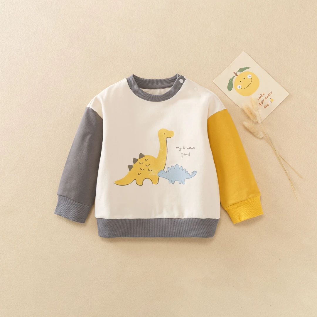 84113005恐龙拼色卫衣