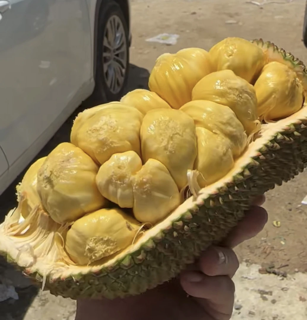 G海南三亚正宗榴莲蜜热带水果软糯香甜湿苞入口即化出肉率极高