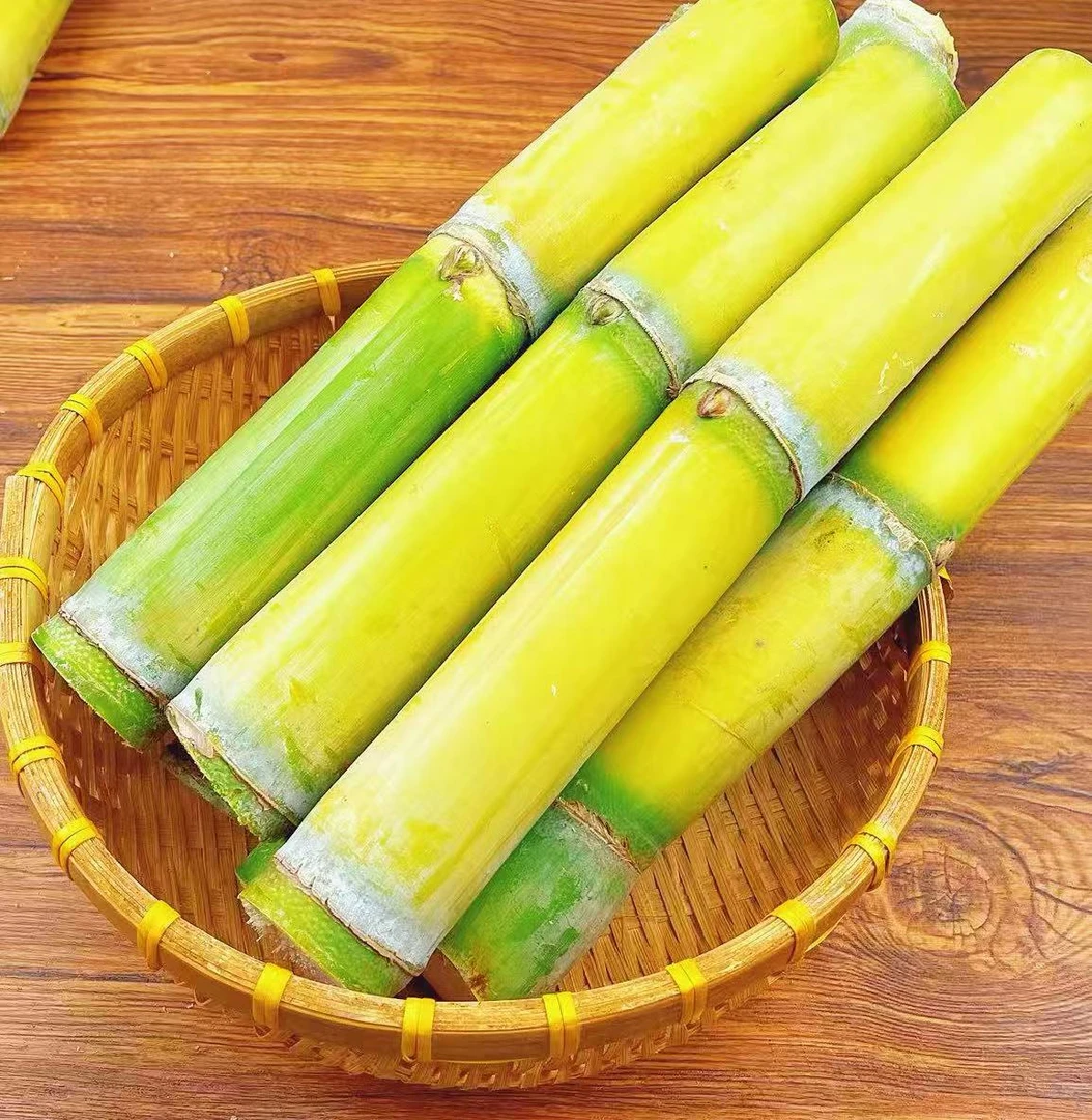 云南黄金甘蔗现砍现发清甜多汁新鲜应季水果