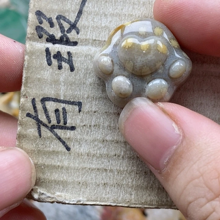 硅化珊瑚（珊瑚玉）未镶嵌颈饰时****许小