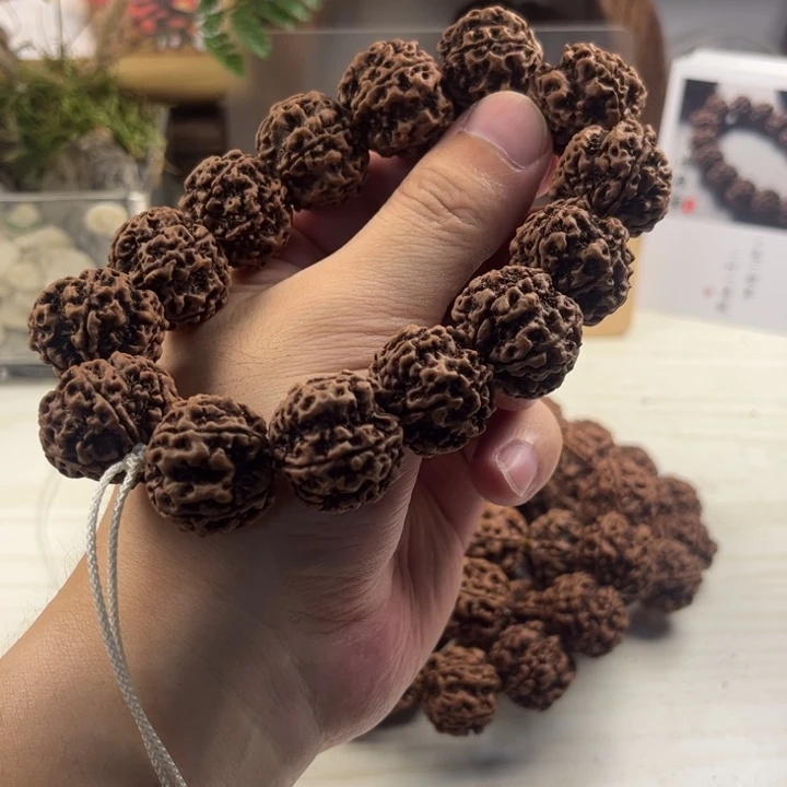 金刚菩提手串23粗筋梅花双龙原生态