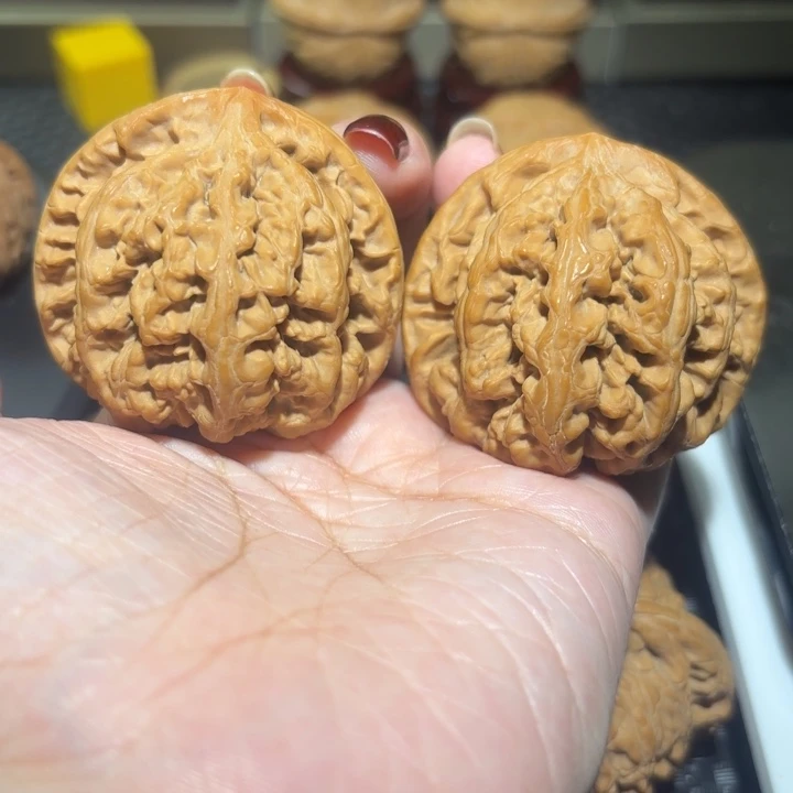 文玩核桃把件46大粗筋