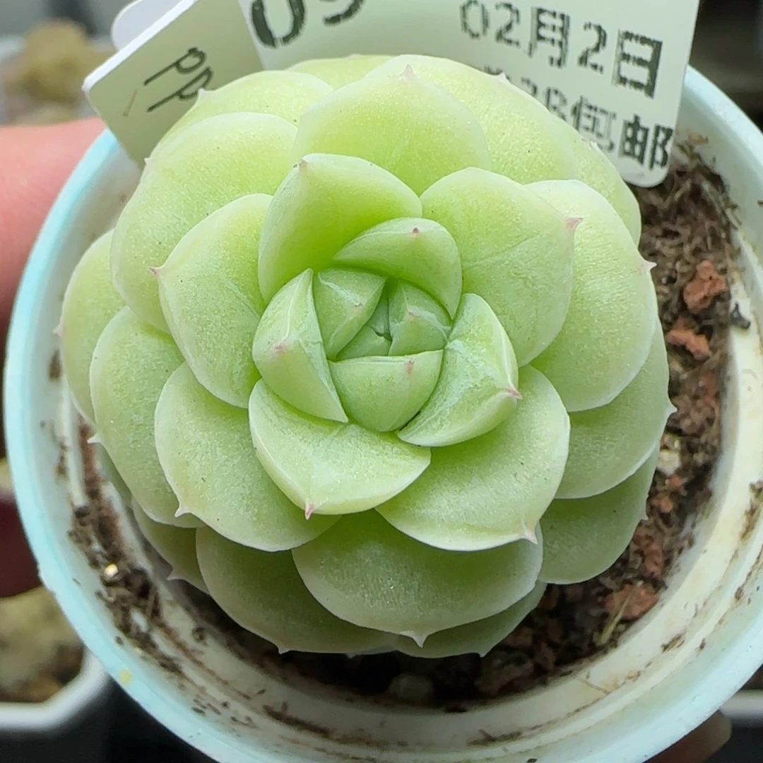 0202-209（PPT-34）