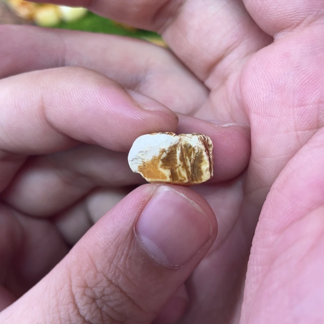 定制琥珀天然琥珀8老型