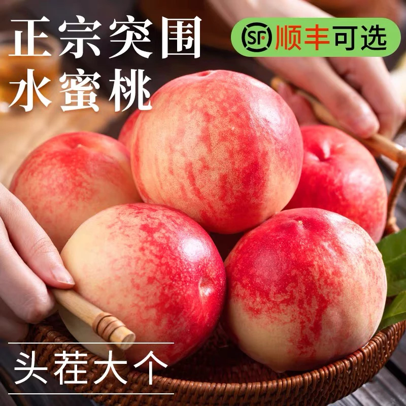 【顺丰包邮】头茬砀山突围水蜜桃脆软露天成熟口感佳多汁现摘现发