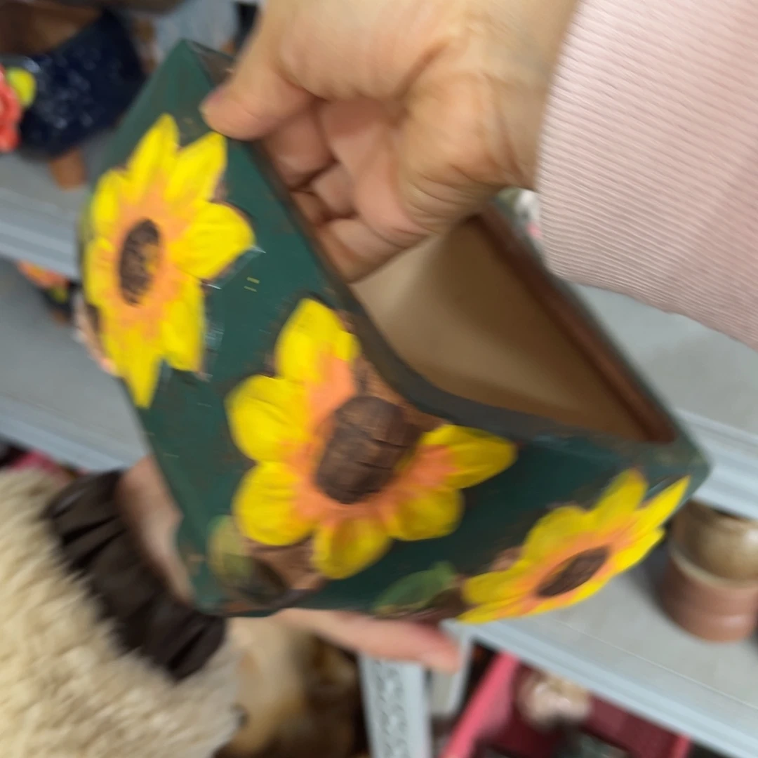 花盆，拍满20发货，退款拉黑