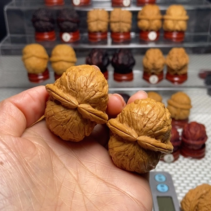 文玩核桃把件李*欣9金龟玉甲