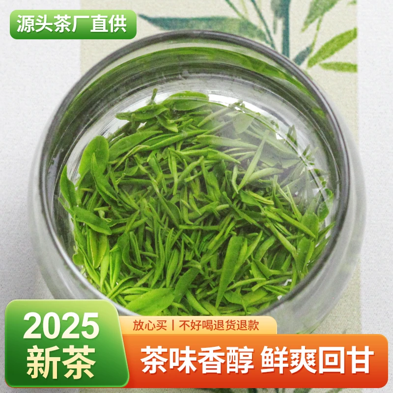 【2025年烘青毛卷】新茶头春头采高山耐泡回甘浓香型袋装散装口粮茶