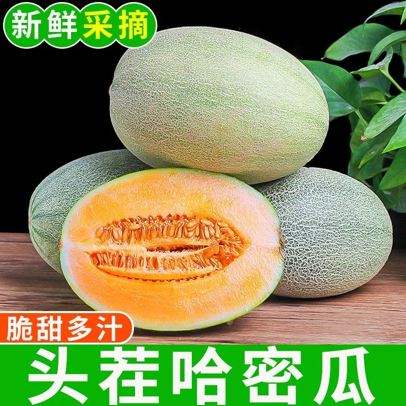 【甄选款】精选哈密瓜玫珑蜜瓜当季新鲜网纹瓜吐鲁番哈蜜瓜水果