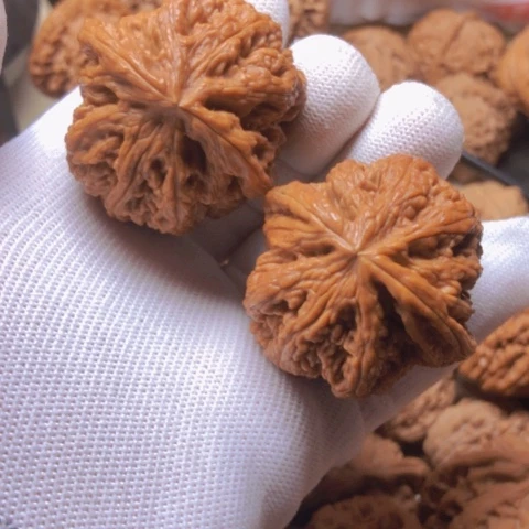 【闪购商品】桃核吊坠提**乐大粗筋狮子头