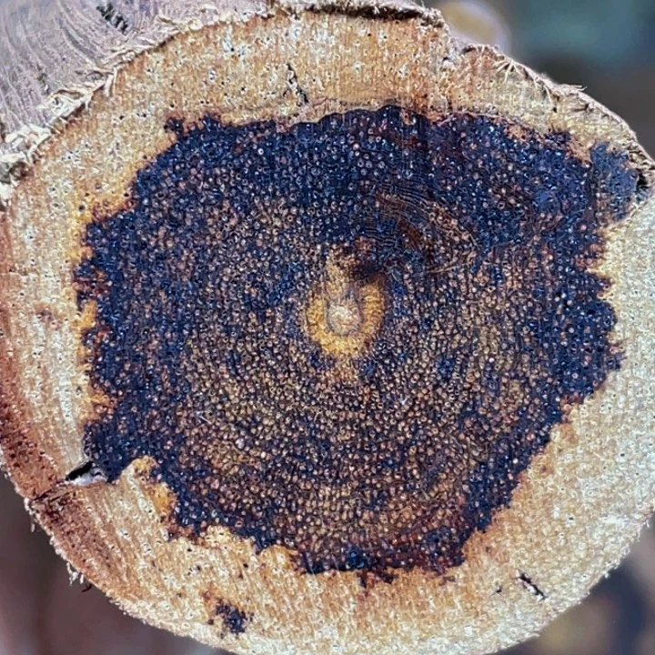 手串/手链降真香定制缅甸小叶降真香