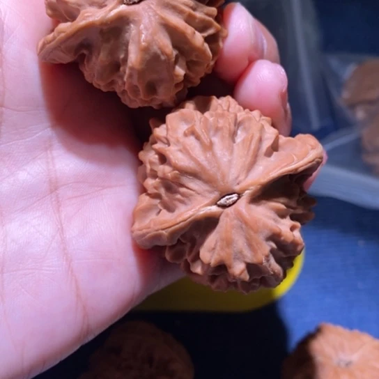 【闪购商品】吊坠文玩核桃元**贞龙筋