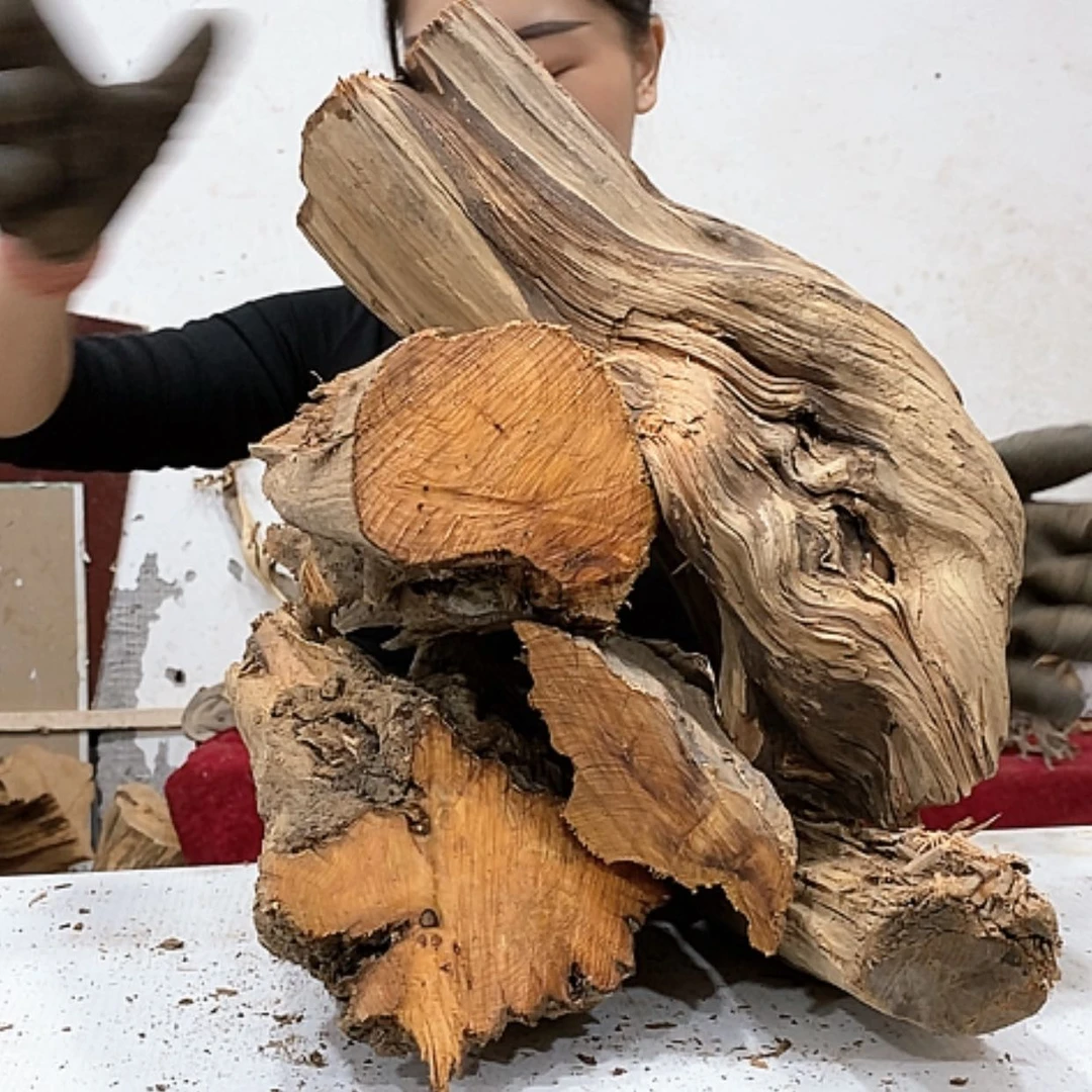 【闪购商品】柏木用****9我们都是好孩子