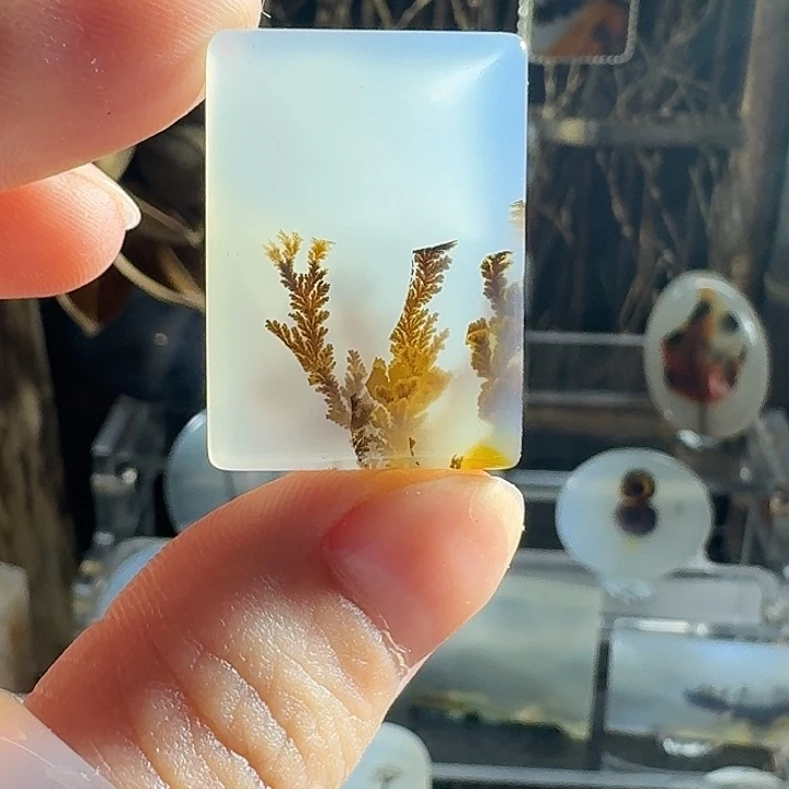 未镶嵌玛瑙/玉髓珠宝半成品