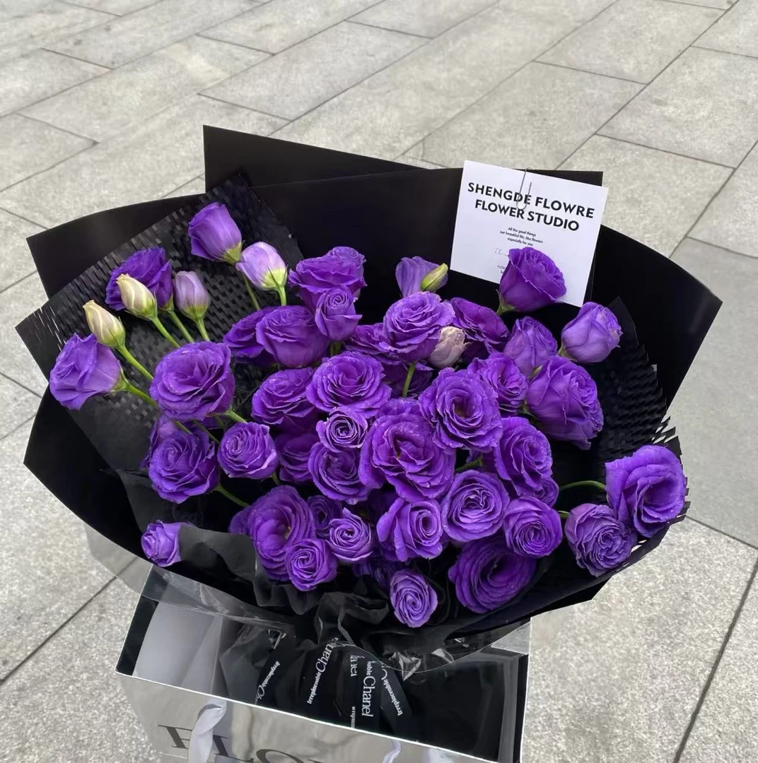 鲜花【深紫色洋桔梗】同地址两单顺丰/德邦空运+送10包保鲜剂