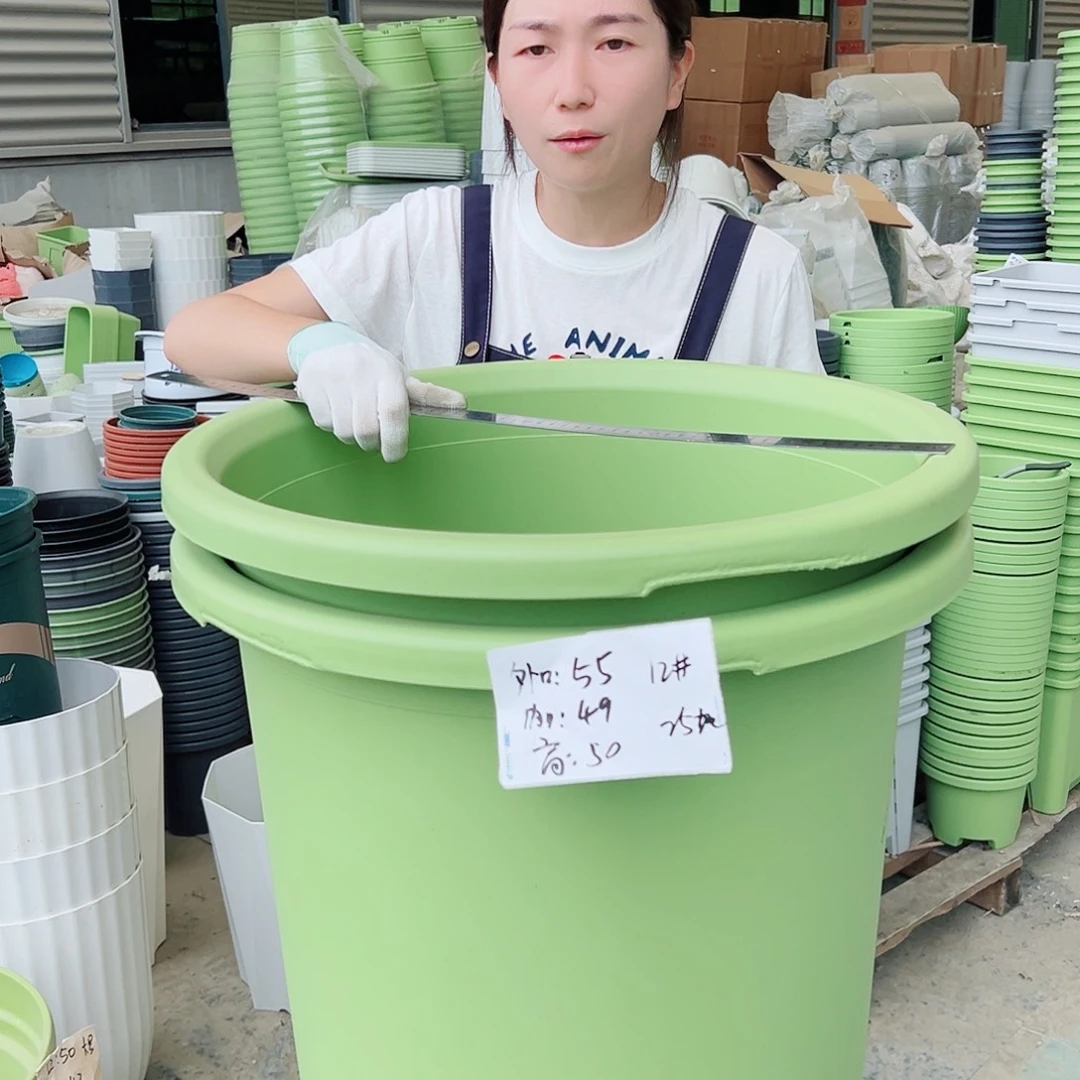 瑕疵四季盆12#果绿2个无托
