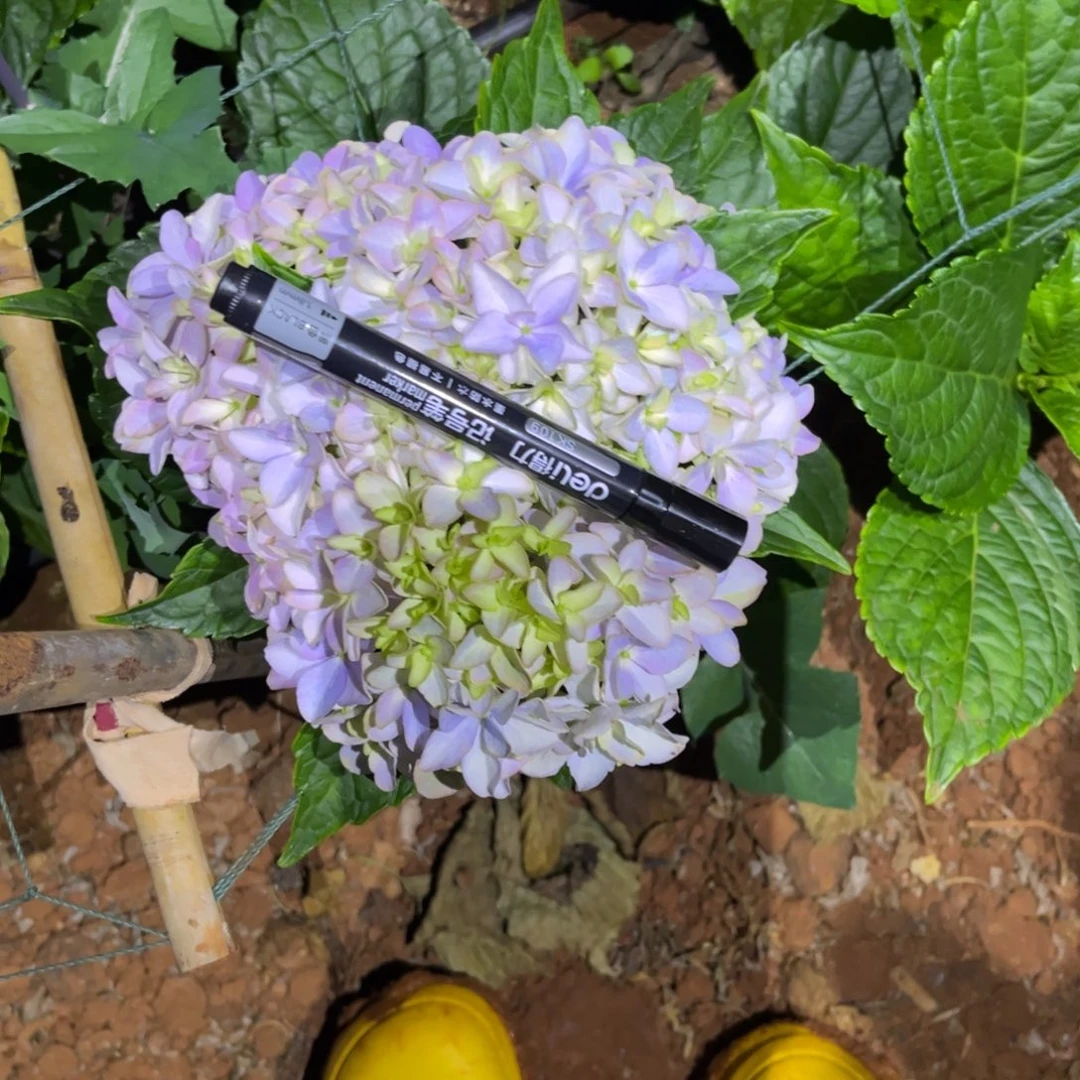 181号绣球花一支（3支包邮）