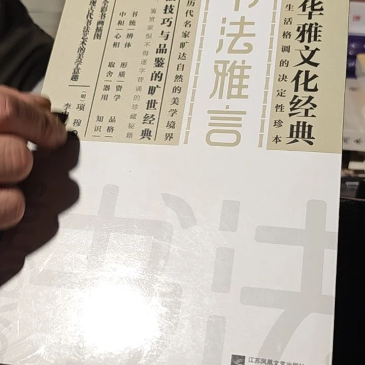 书法雅言平装库存书
